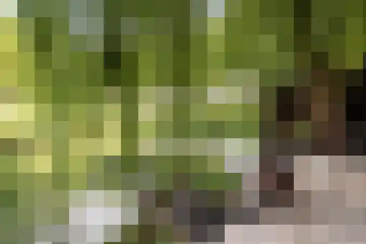Zwaluwenburg 13 Dordrecht thumbnail 4