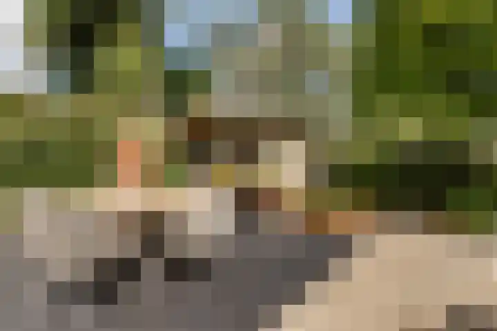 Zwaluwenburg 15 Dordrecht thumbnail 26