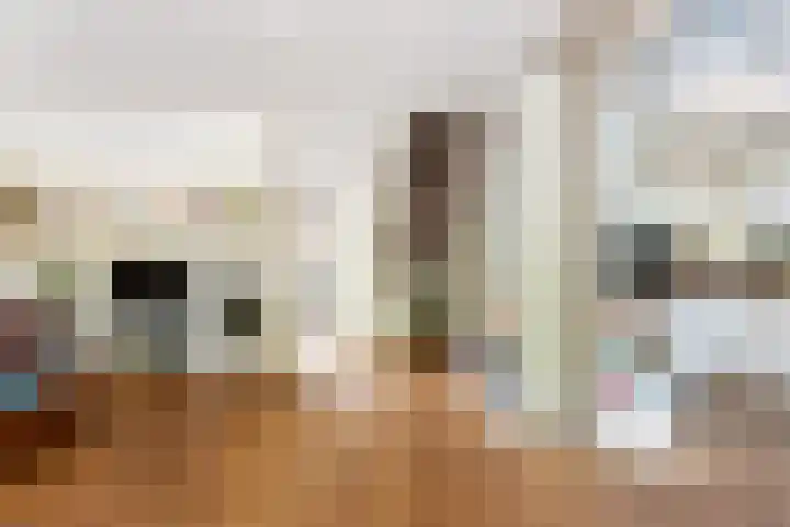Zwaluwenburg 15 Dordrecht thumbnail 8