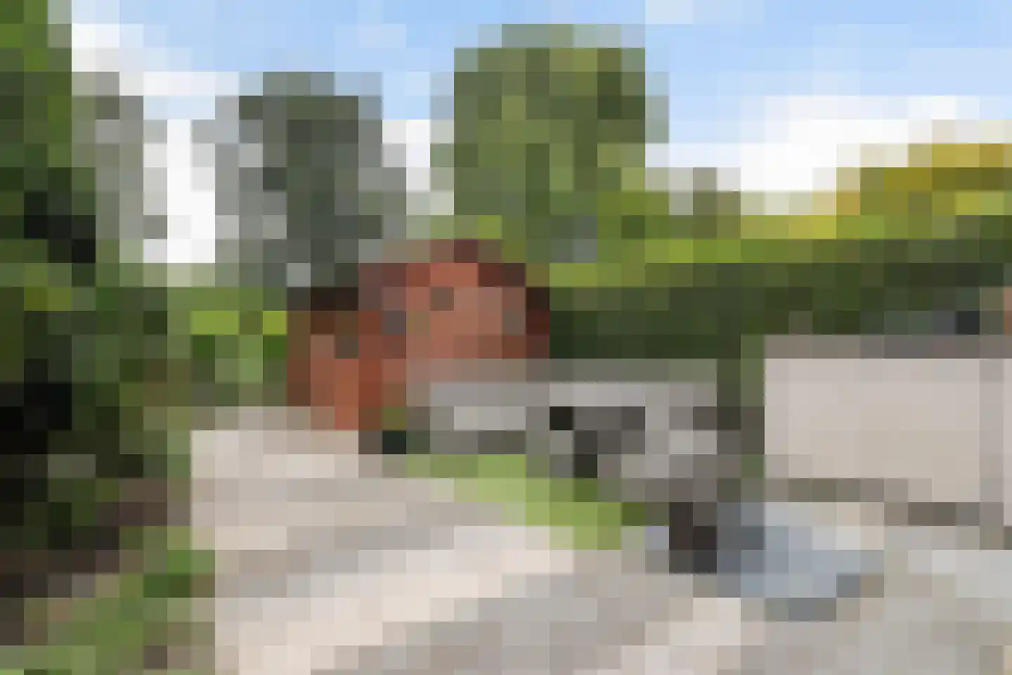 Zwaluwenburg 18 Dordrecht thumbnail 30
