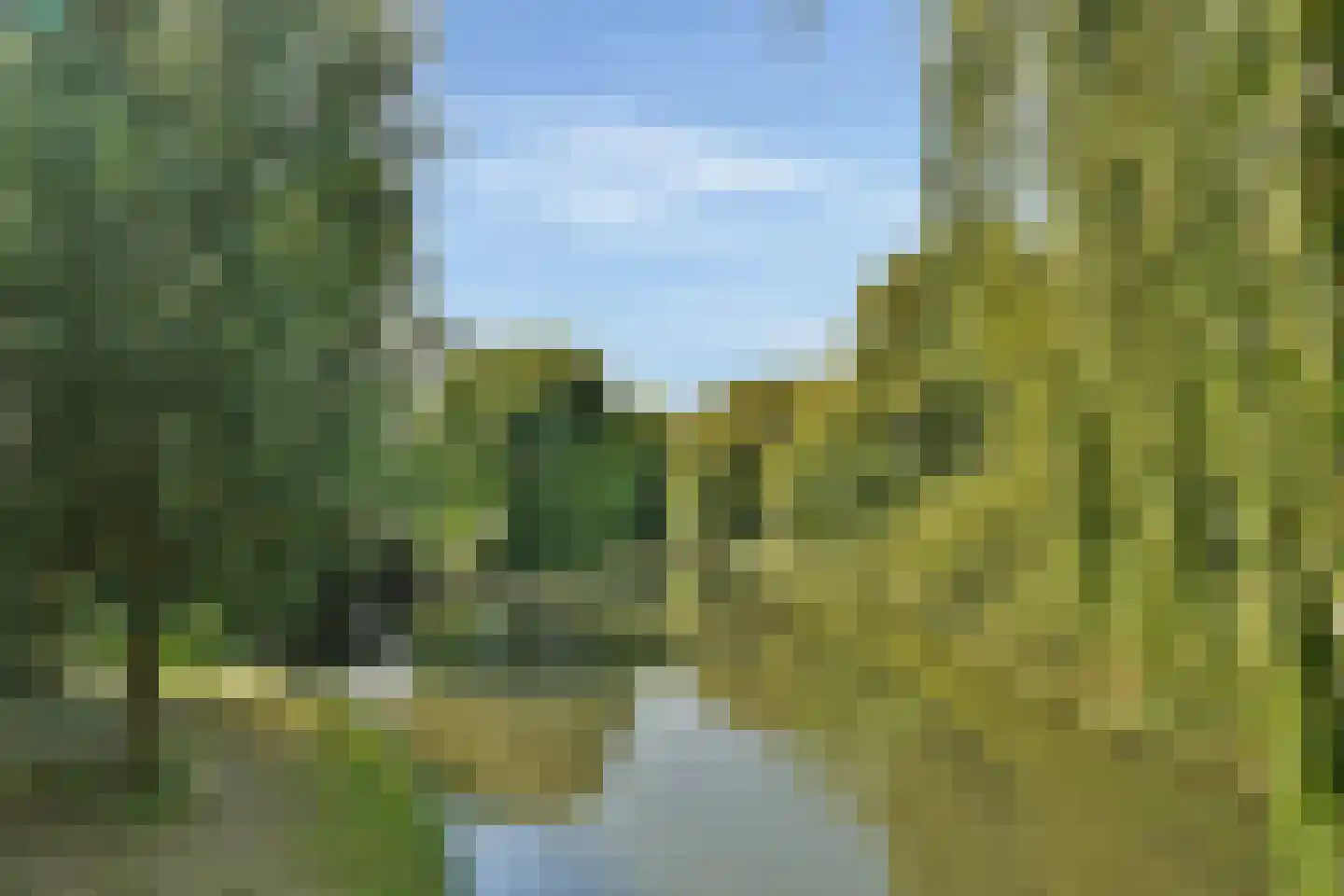 Zwaluwenburg 32 Dordrecht thumbnail 31