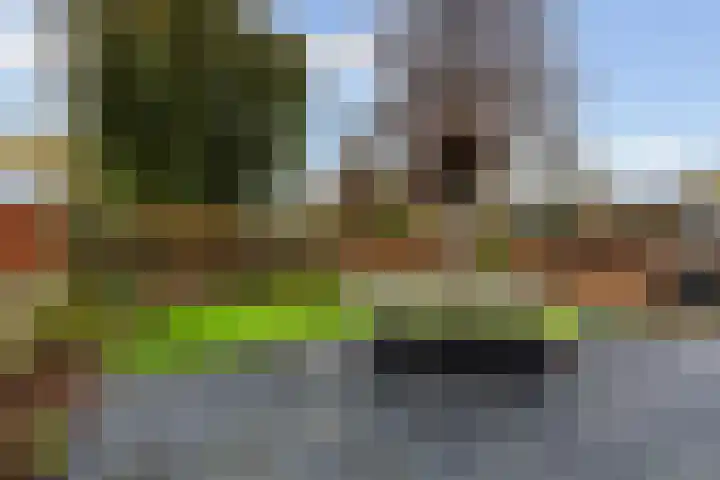 Zwaluwenburg 34 Dordrecht thumbnail 44