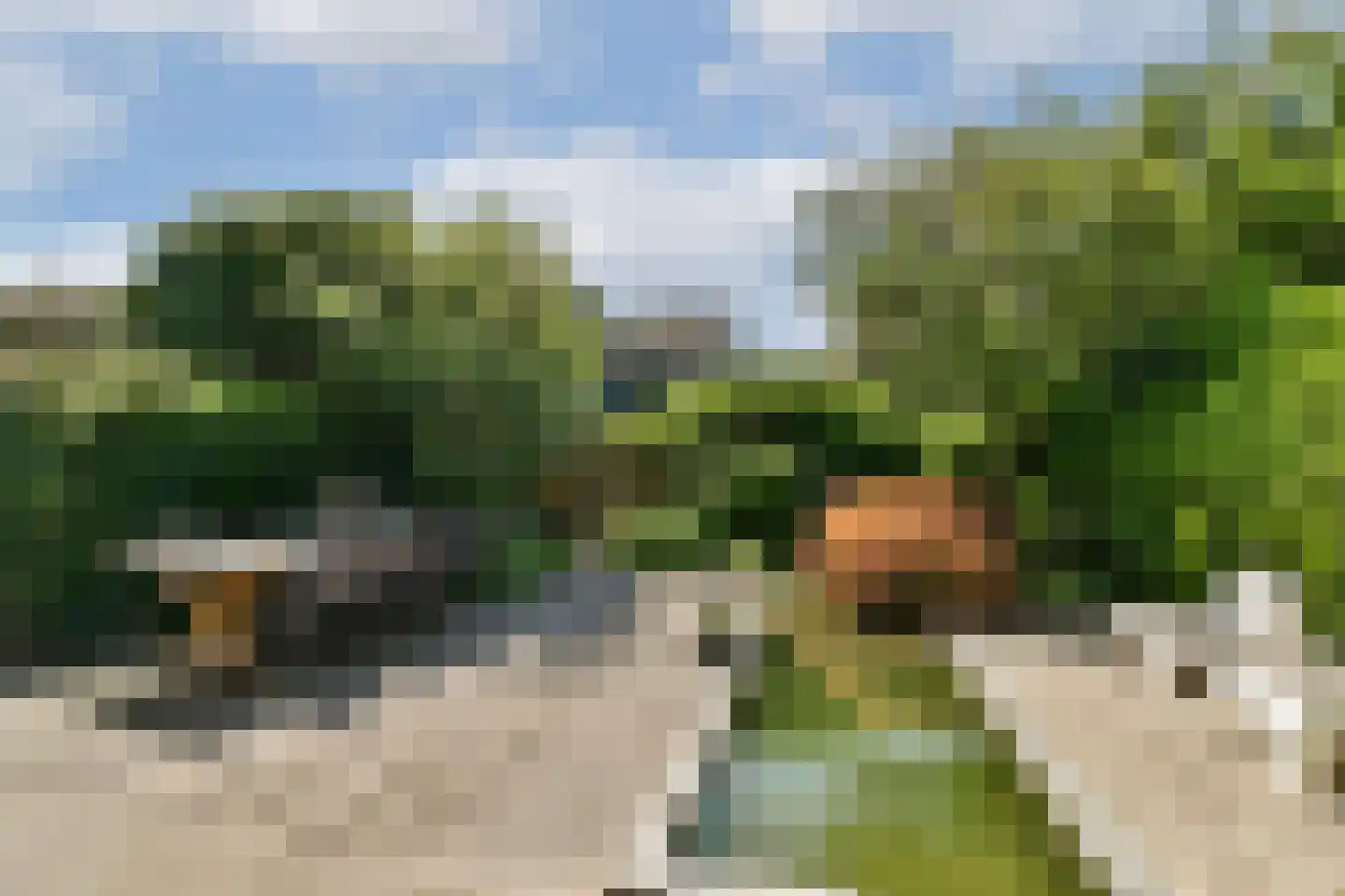 Zwaluwenburg 71 Dordrecht thumbnail 22