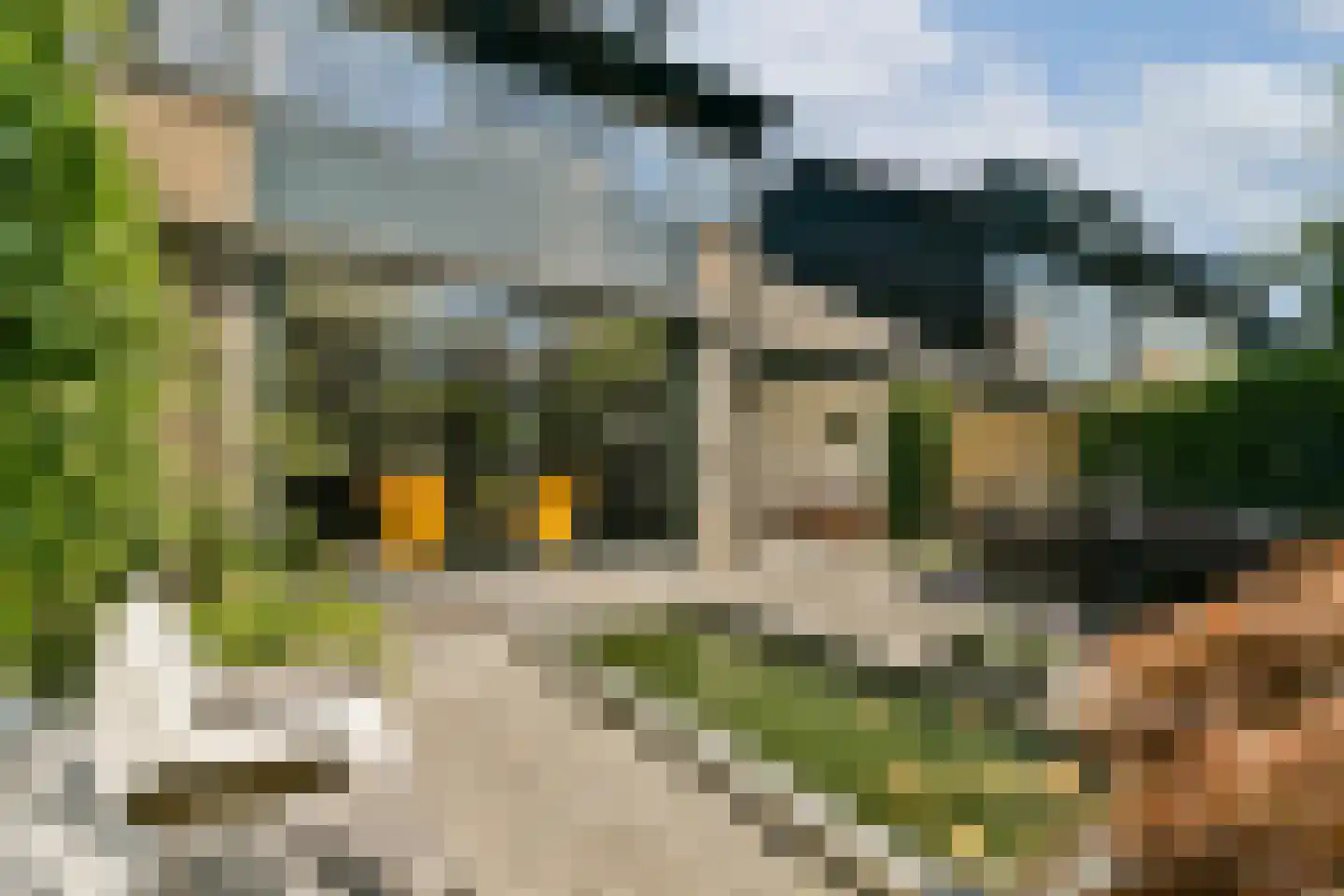 Zwaluwenburg 71 Dordrecht thumbnail 23