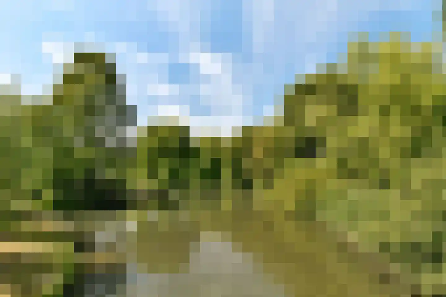 Zwaluwenburg 71 Dordrecht thumbnail 41