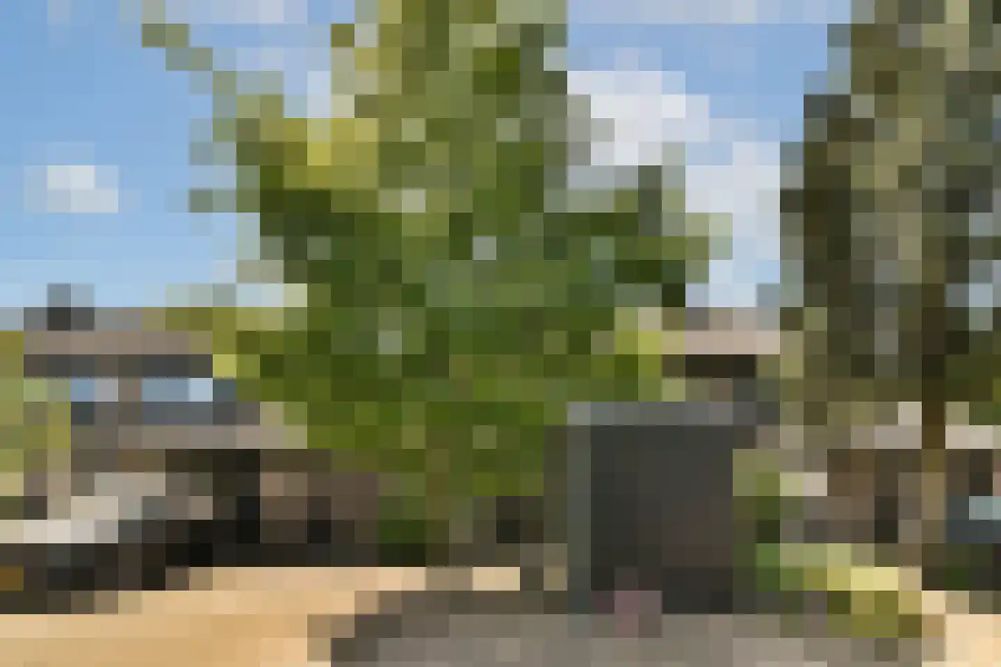 Zwaluwenburg 71 Dordrecht thumbnail 5