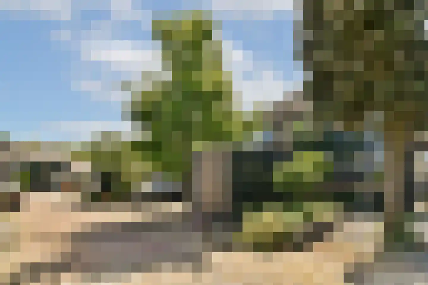 Zwaluwenburg 71 Dordrecht thumbnail 6