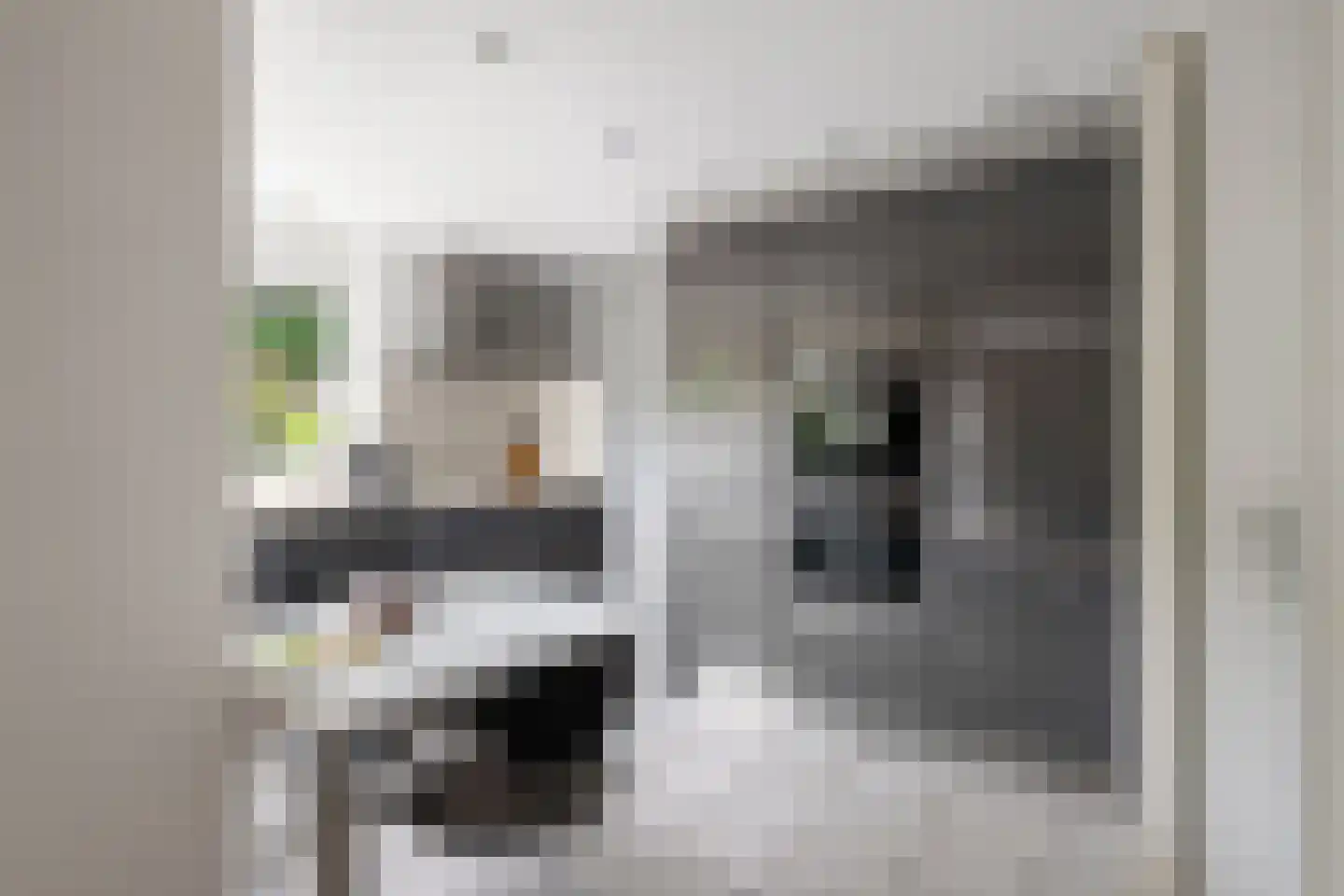 Zwaluwendaal 6 Nieuwerkerk aan den IJssel thumbnail 12