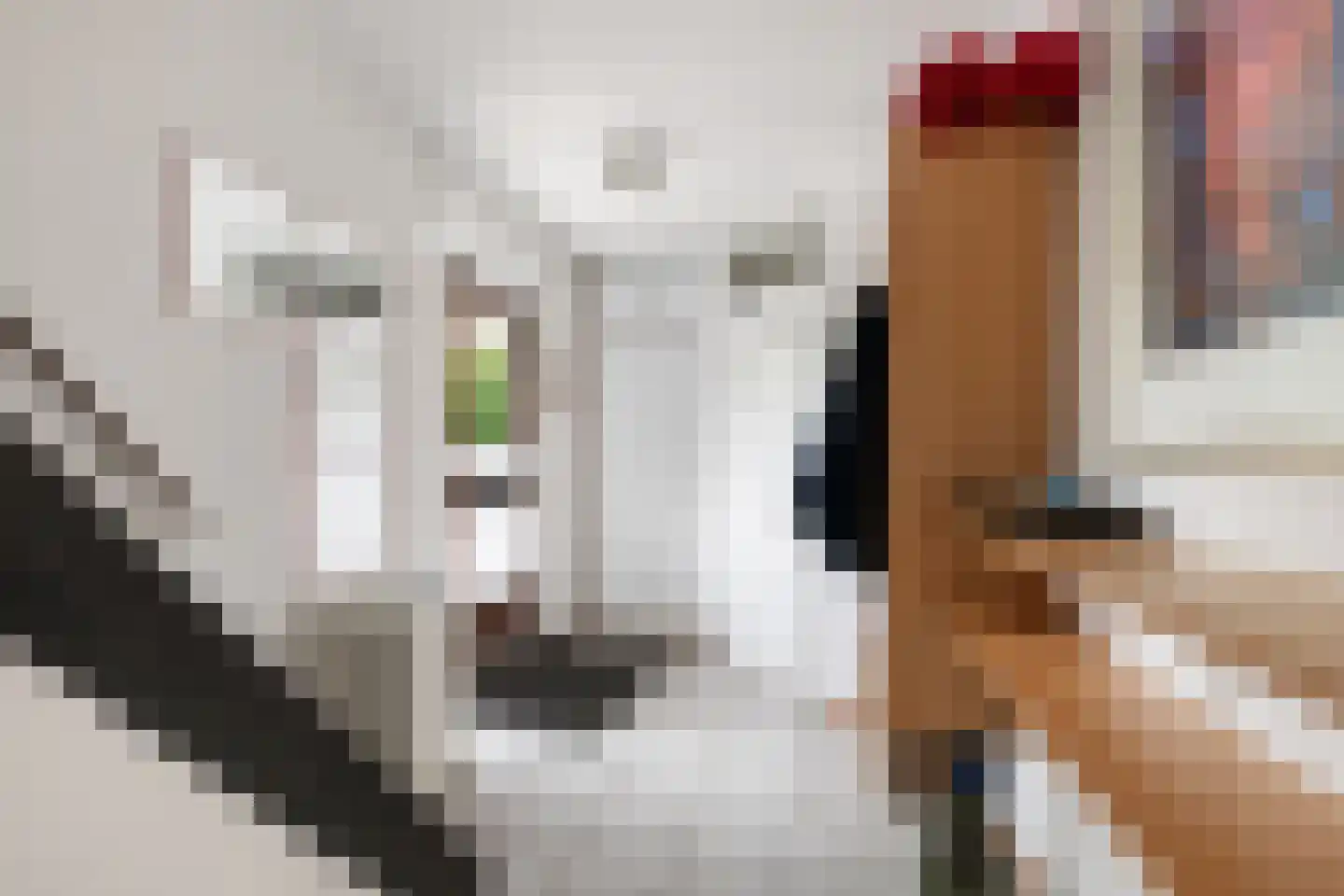Zwaluwendaal 6 Nieuwerkerk aan den IJssel thumbnail 15
