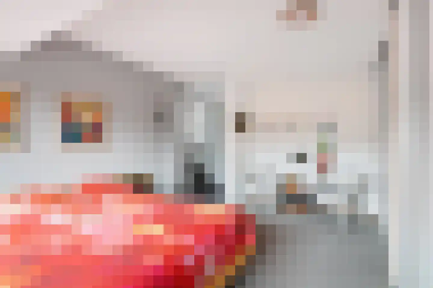 Zwaluwendaal 6 Nieuwerkerk aan den IJssel thumbnail 18