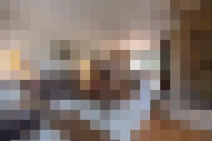 Zwaluwendonk 10 Veghel thumbnail 10