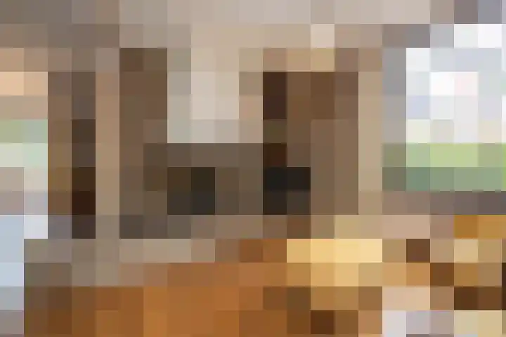 Zwaluwendonk 10 Veghel thumbnail 11