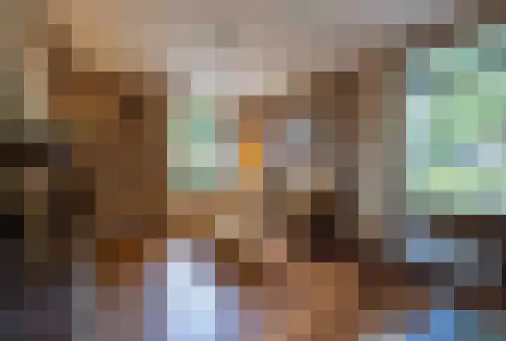 Zwaluwendonk 10 Veghel thumbnail 12