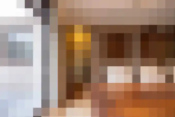 Zwaluwendonk 10 Veghel thumbnail 13