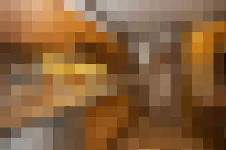 Zwaluwendonk 10 Veghel thumbnail 14