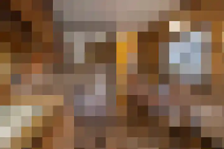 Zwaluwendonk 10 Veghel thumbnail 15