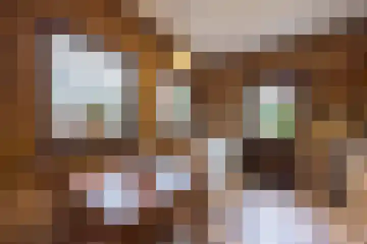 Zwaluwendonk 10 Veghel thumbnail 16