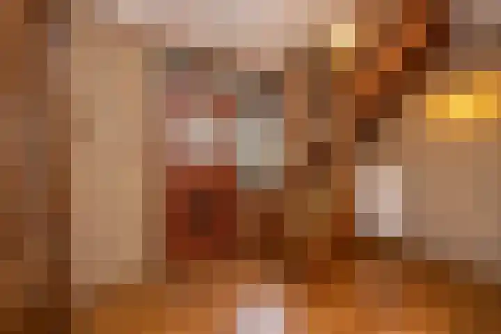 Zwaluwendonk 10 Veghel thumbnail 17