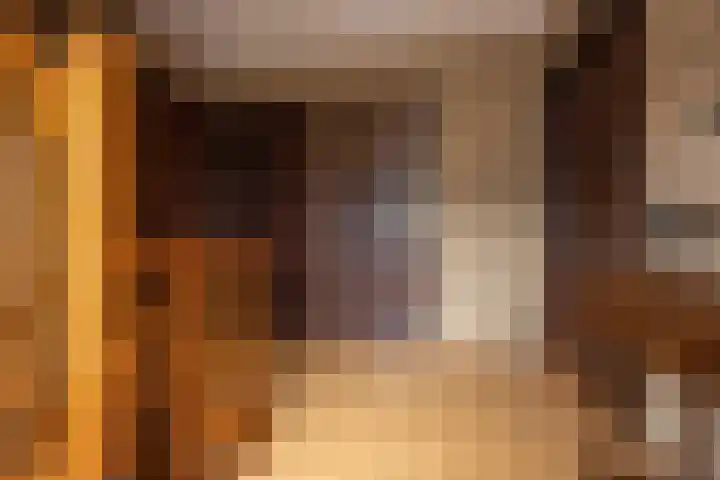 Zwaluwendonk 10 Veghel thumbnail 18