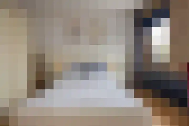 Zwaluwendonk 10 Veghel thumbnail 20