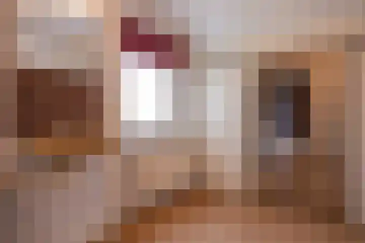 Zwaluwendonk 10 Veghel thumbnail 21