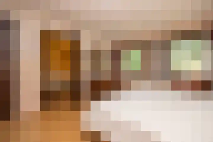 Zwaluwendonk 10 Veghel thumbnail 23