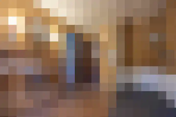Zwaluwendonk 10 Veghel thumbnail 25