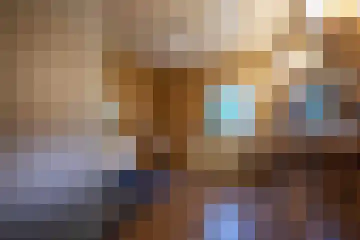 Zwaluwendonk 10 Veghel thumbnail 26
