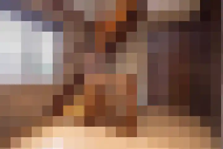 Zwaluwendonk 10 Veghel thumbnail 27