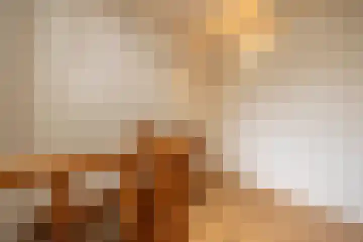 Zwaluwendonk 10 Veghel thumbnail 28