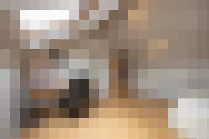 Zwaluwendonk 10 Veghel thumbnail 30