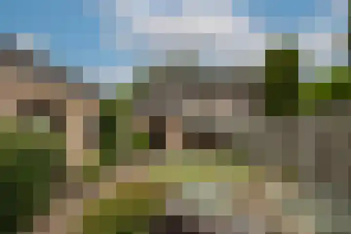 Zwaluwendonk 10 Veghel thumbnail 31
