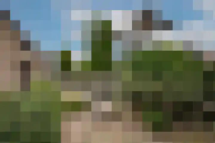Zwaluwendonk 10 Veghel thumbnail 32