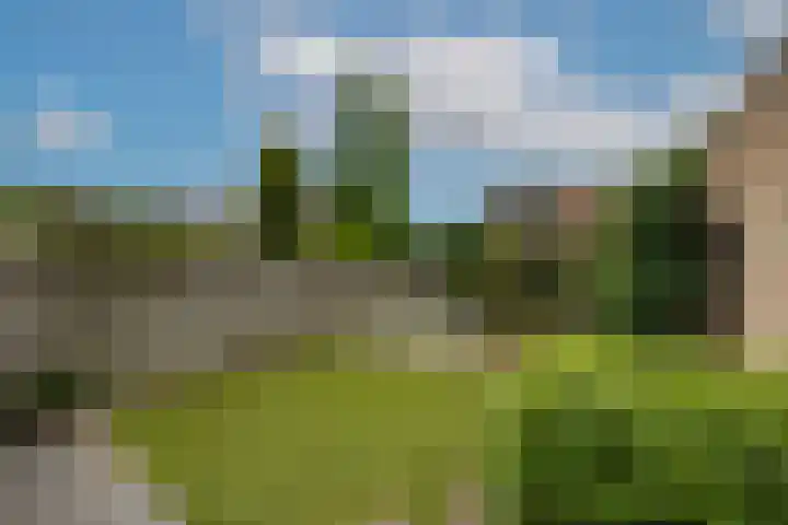Zwaluwendonk 10 Veghel thumbnail 33