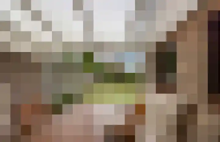 Zwaluwendonk 10 Veghel thumbnail 35