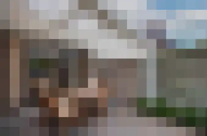 Zwaluwendonk 10 Veghel thumbnail 36