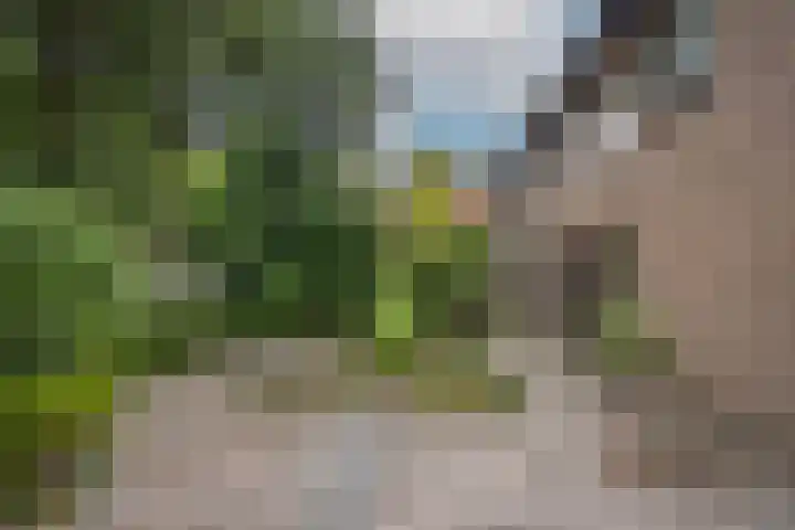 Zwaluwendonk 10 Veghel thumbnail 37
