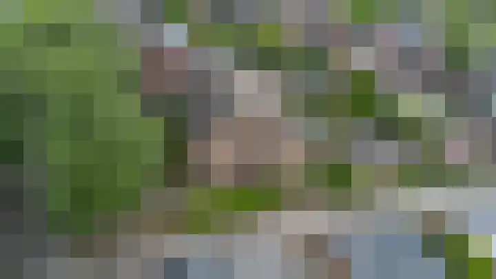 Zwaluwendonk 10 Veghel thumbnail 38