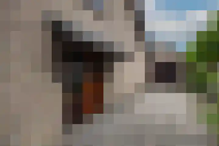 Zwaluwendonk 10 Veghel thumbnail 39
