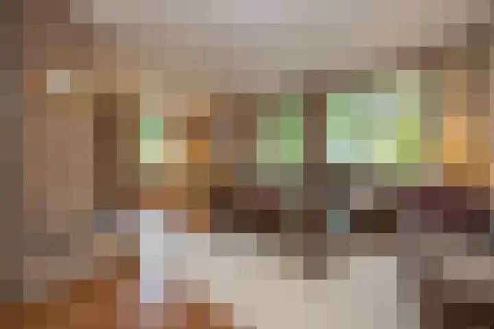 Zwaluwendonk 10 Veghel thumbnail 4