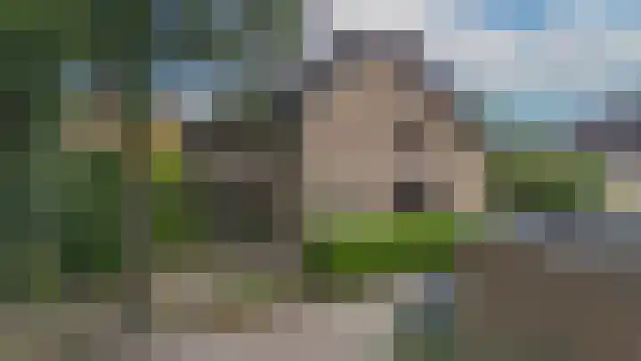 Zwaluwendonk 10 Veghel thumbnail 40