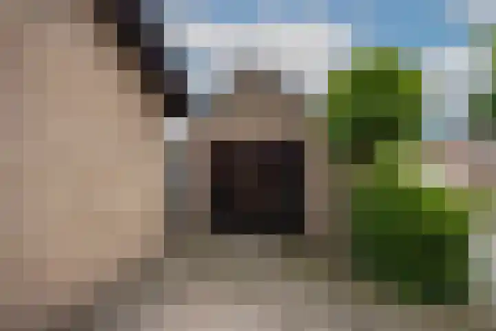 Zwaluwendonk 10 Veghel thumbnail 41