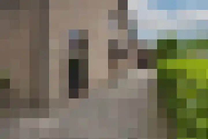 Zwaluwendonk 10 Veghel thumbnail 43