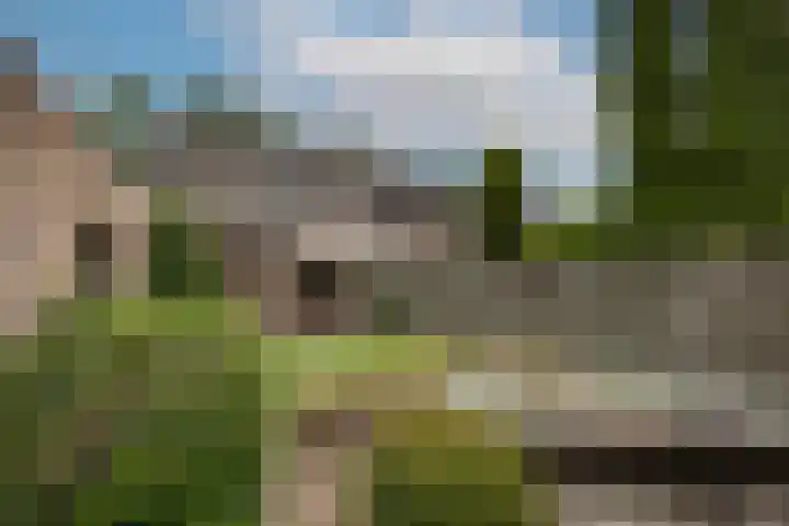 Zwaluwendonk 10 Veghel thumbnail 44