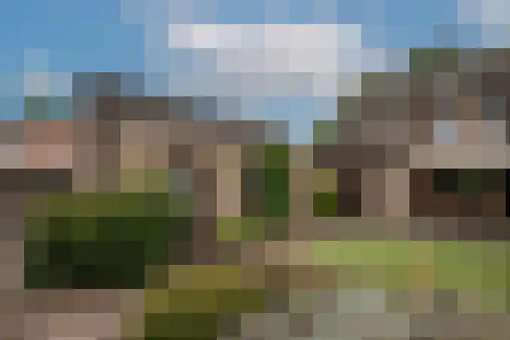 Zwaluwendonk 10 Veghel thumbnail 45