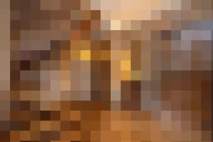 Zwaluwendonk 10 Veghel thumbnail 5