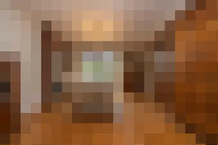 Zwaluwendonk 10 Veghel thumbnail 6