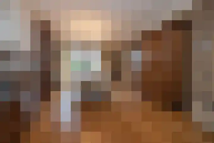 Zwaluwendonk 10 Veghel thumbnail 7