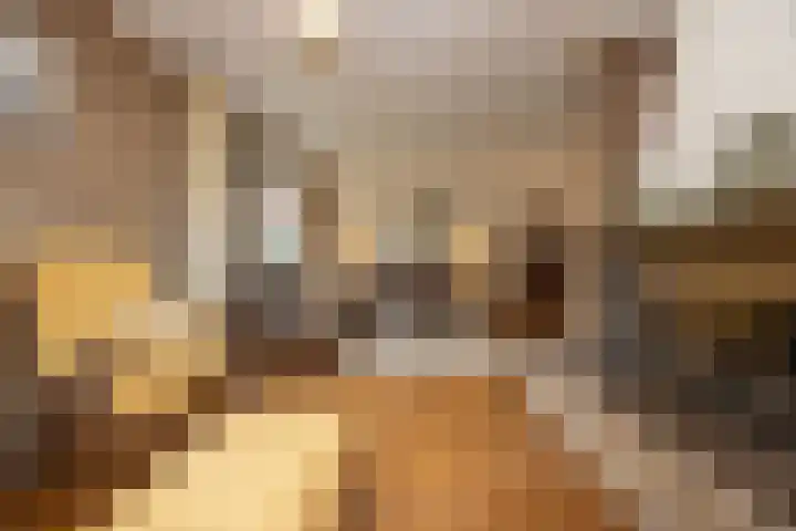 Zwaluwendonk 10 Veghel thumbnail 8