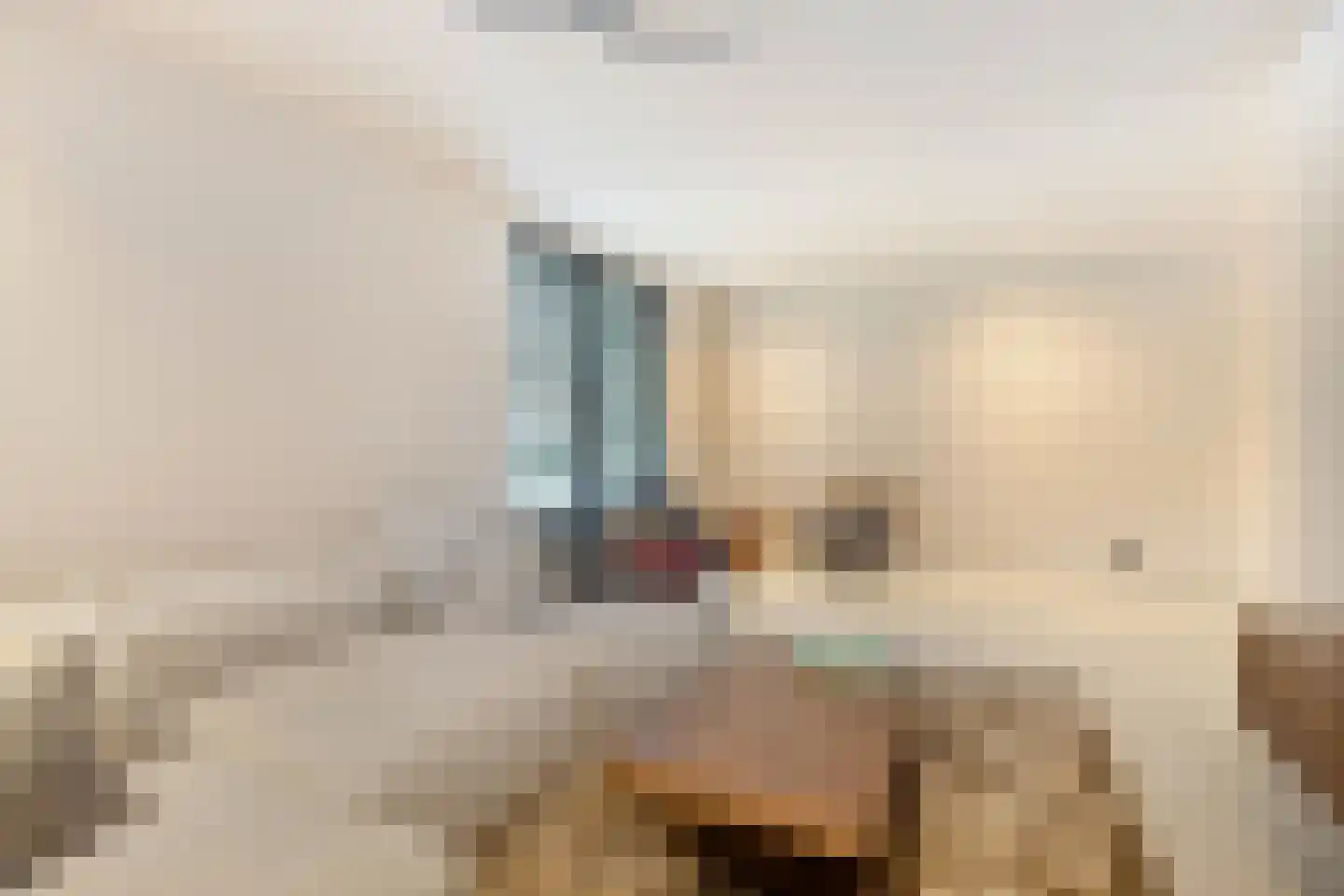 Zwaluwendonk 12 Veghel thumbnail 12
